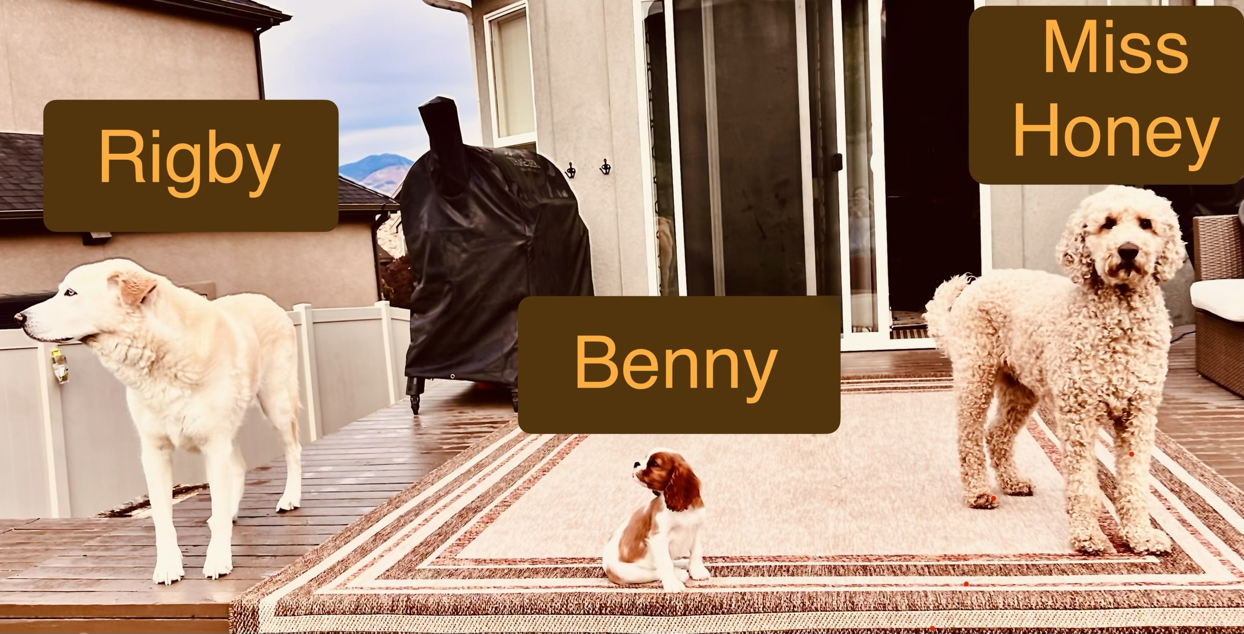 Rigby, Miss Honey, and Benny